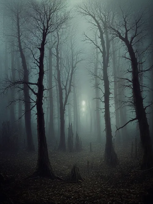 Terror e suspense